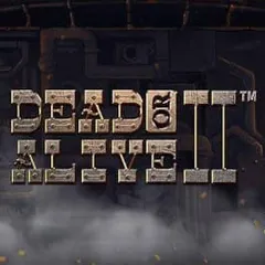 Dead or Alive 2 — Zuplay Casino